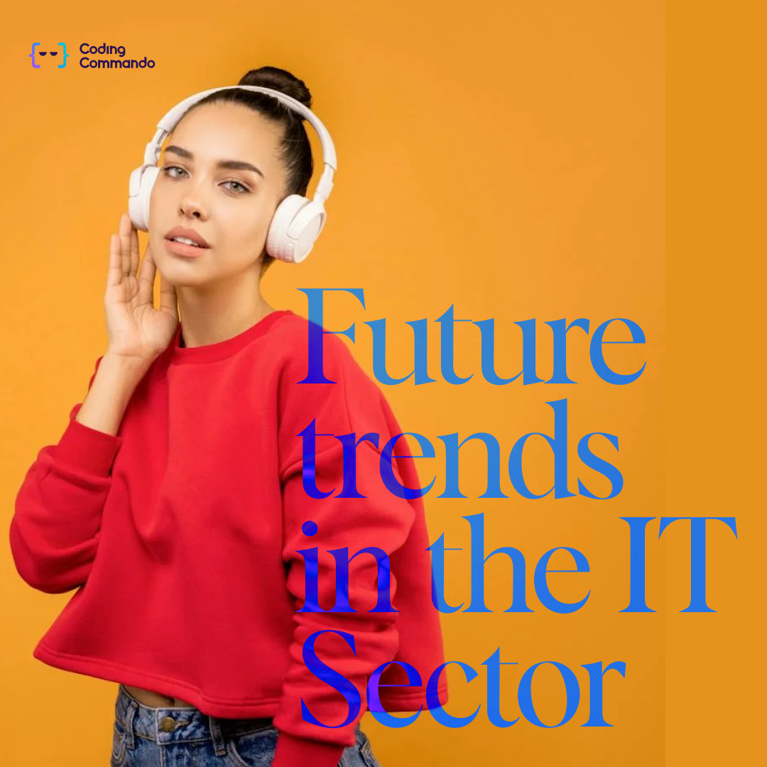 career in the IT sector